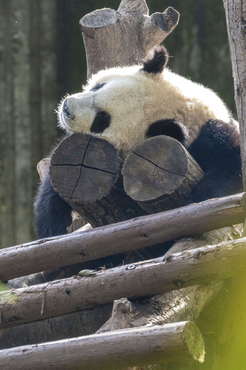 禁片乱伦韩国