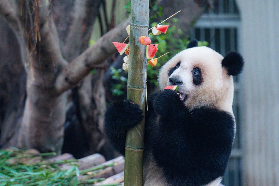 和小黄疯狂3p经历