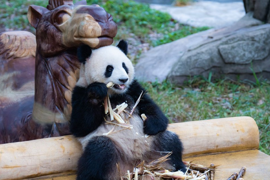 经典三级片色戒在线