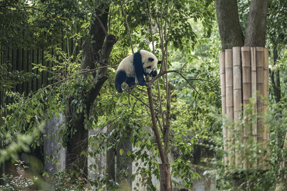 综合 成人 网站