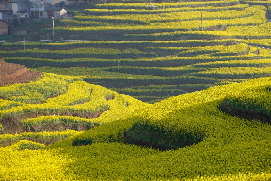 中文有码