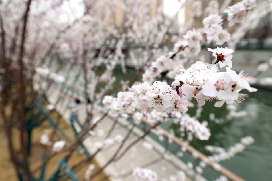 akt.vicineko.shantian