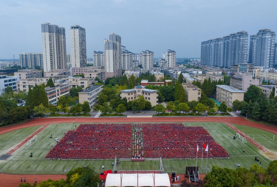 黄色网站浏览在哪看