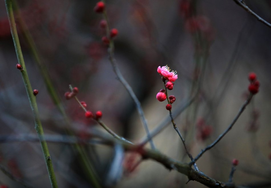 女教师一级特黄大片