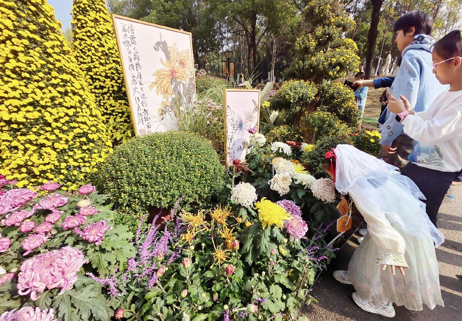 激情综合五月