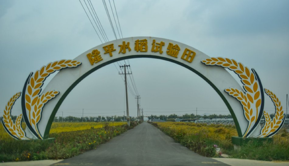乱日乱交乱欲