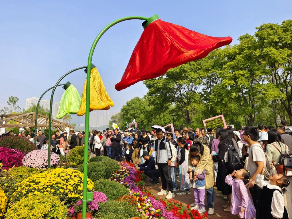 玖玖综合
