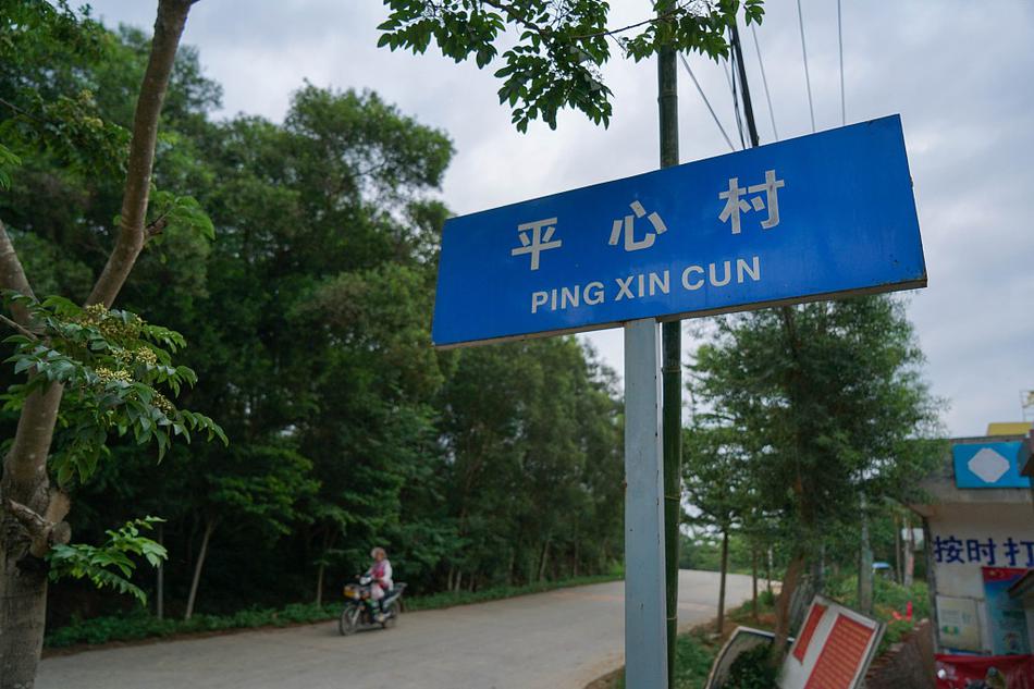 99久久婷婷国产综合精品电影