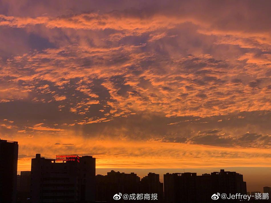 成人 免费 色情