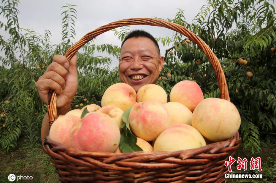 中国台湾黄色网站