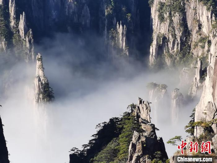 韩国一级 伦理黄色片