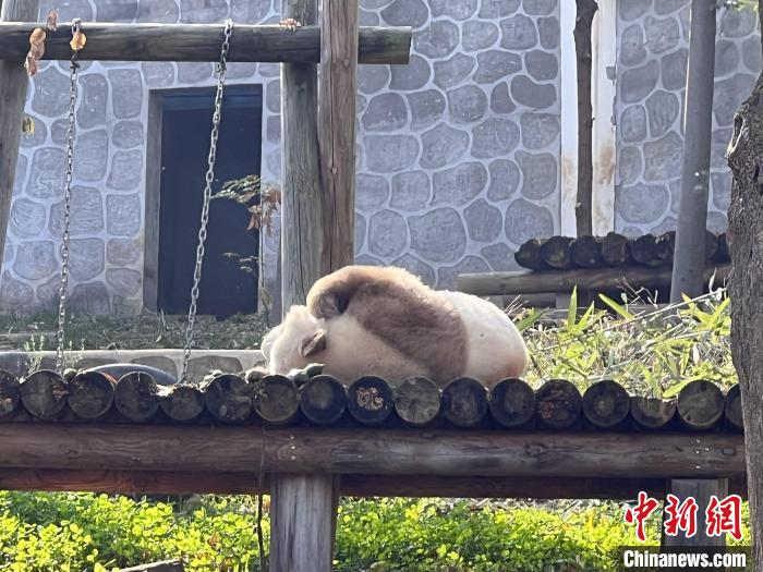 男同乱婬H肉动漫