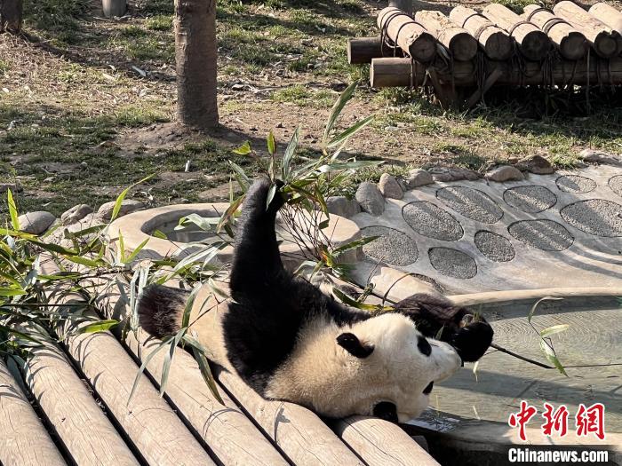 性少妇Xxxx4片