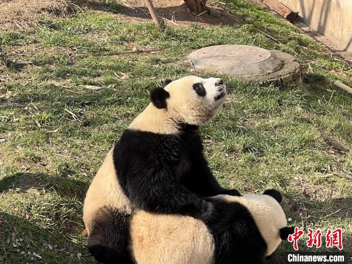 成賴心美