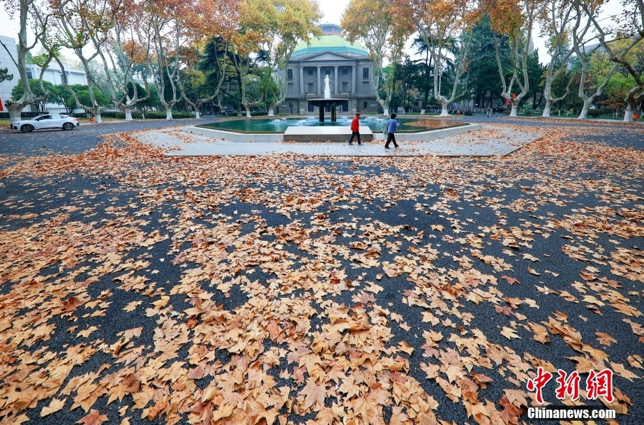 欧美性按摩