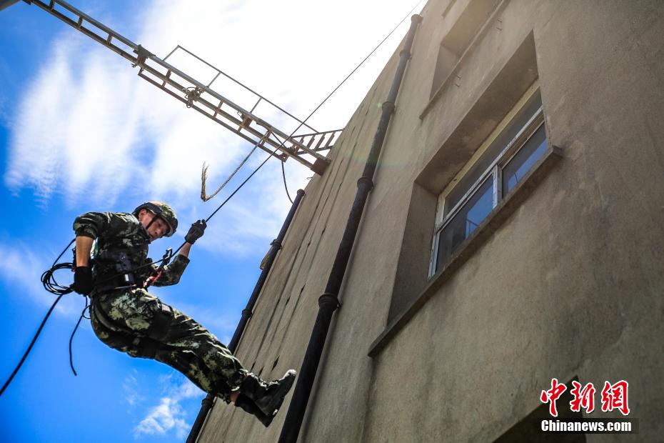 波切蒂諾：如果盧卡庫仍是藍軍球員，我希望他能來辦公室和我談話