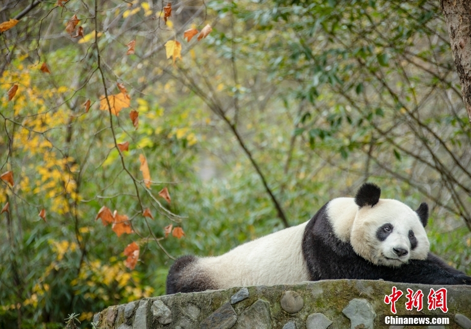 桌面图标有小黄锁消除办法