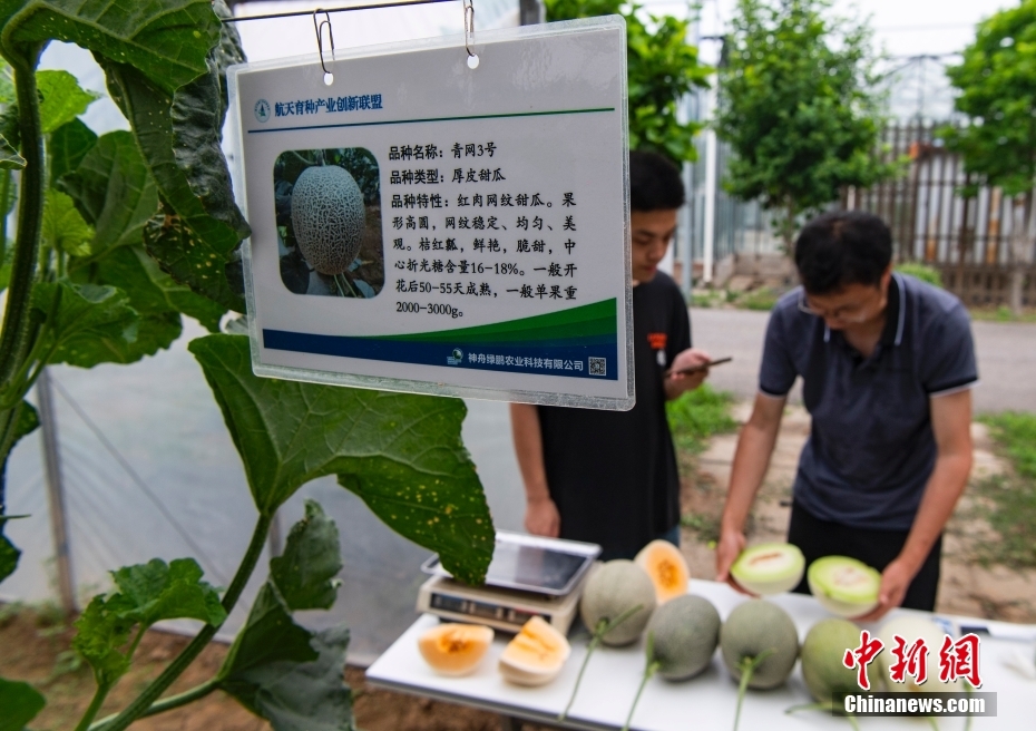 友田真希无码熟人
