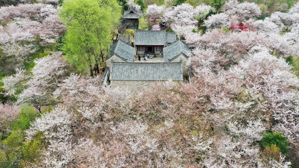 亚瑟影院