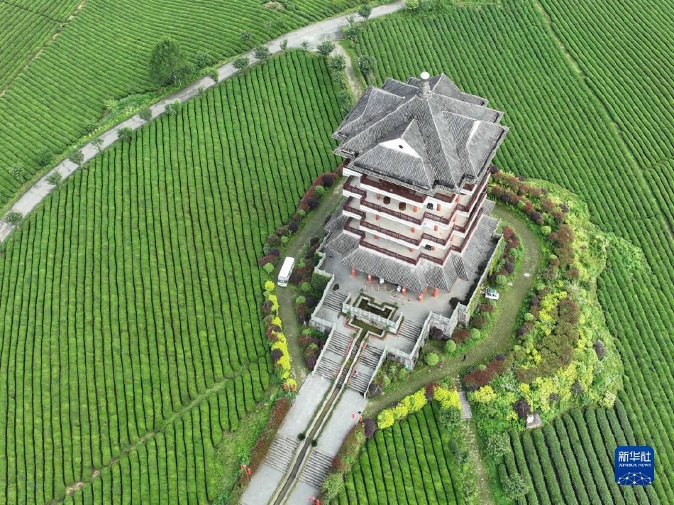 黄色片断全