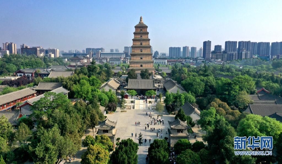 美国黄色直播件