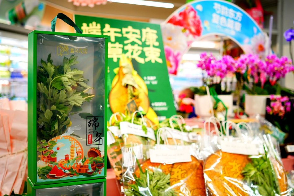 后宫动漫