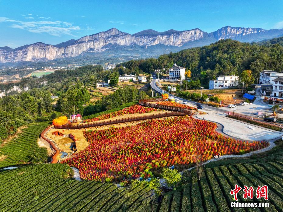 中国老头与老太太曰B视频