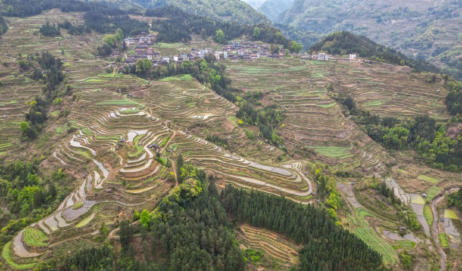 前戏教学