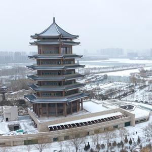 日本大隂户特写P