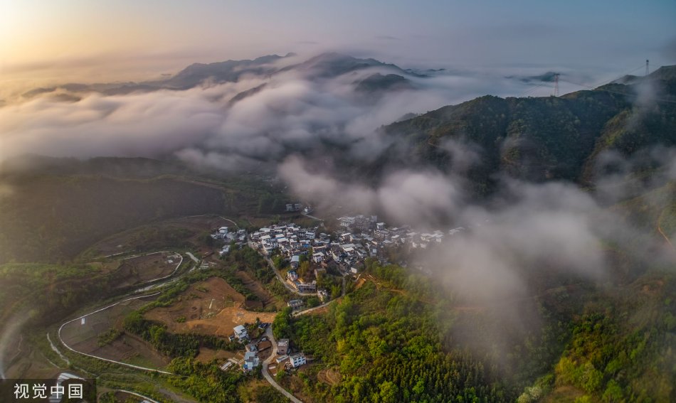 小屌