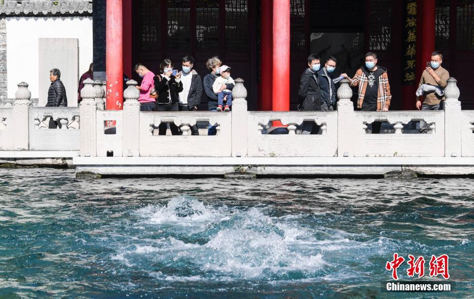 停停Aⅴ黄色网
