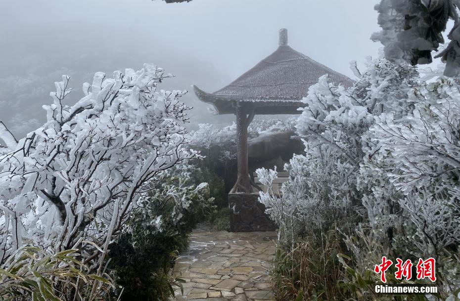 中国一级特黄大片的影响