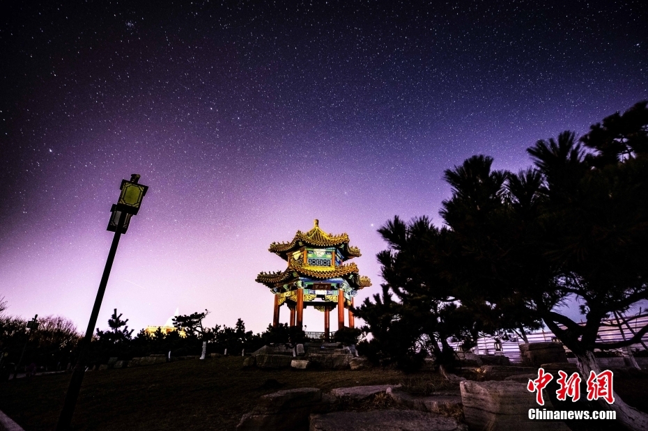 中国猪狗操逼Hd