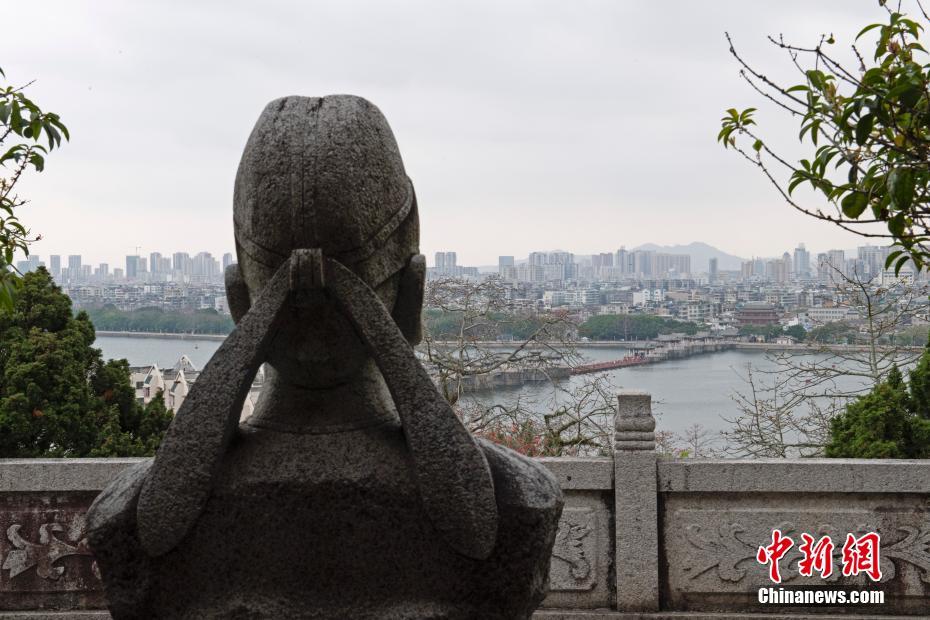 干逼软件
