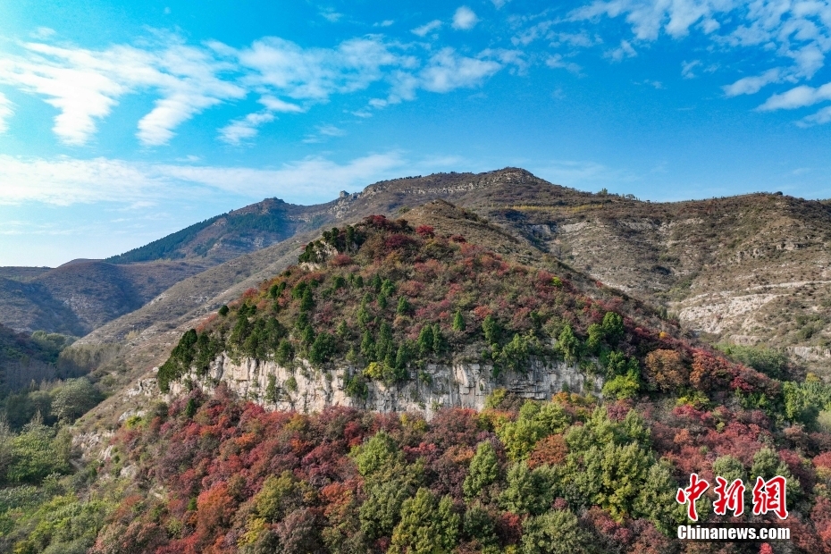 香山聖