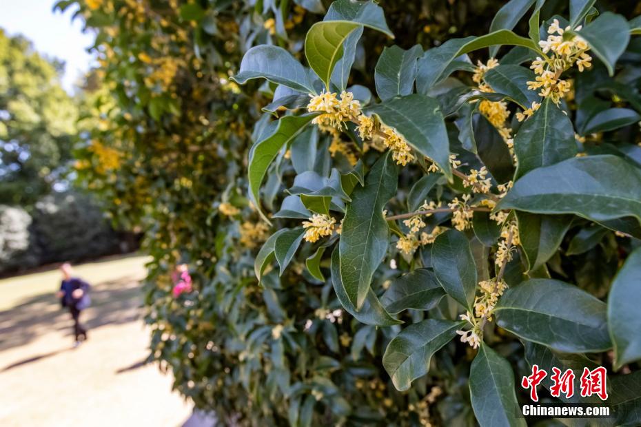 阵法升级勇闯后宫 《熹妃传》宫斗阵法介绍[多图]