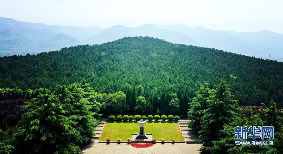wwwxxxx日本