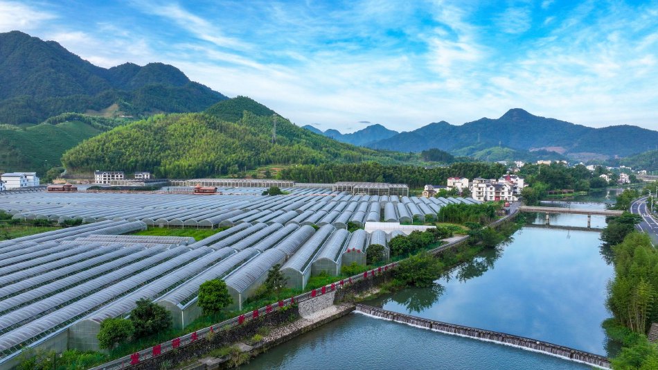 舒淇洗澡大荫蒂