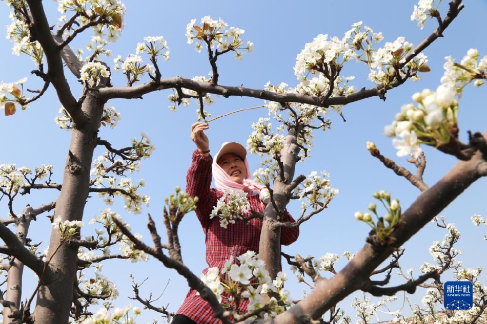 国产嫩草影院久久久久