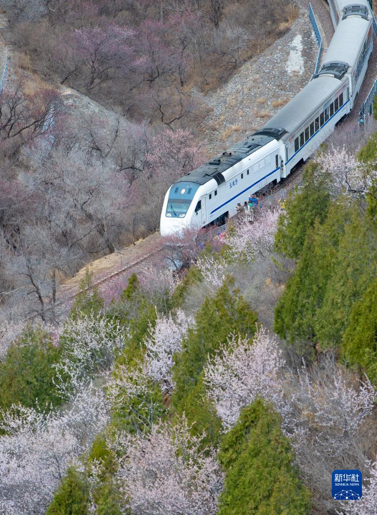 扒开老师 狂揉