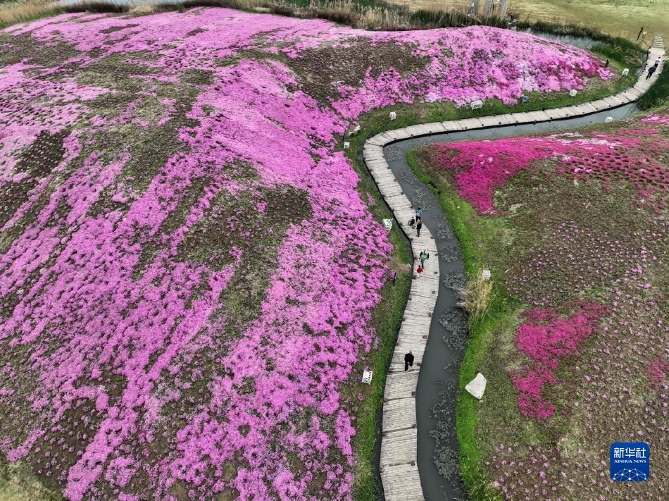 一级黄色录像片