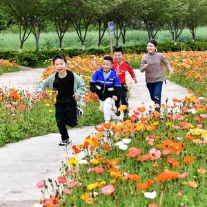 再深点灬舒服灬太大了添A片动漫