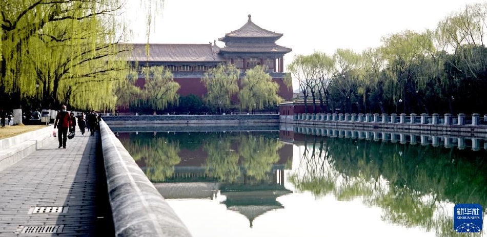 京粗入珠