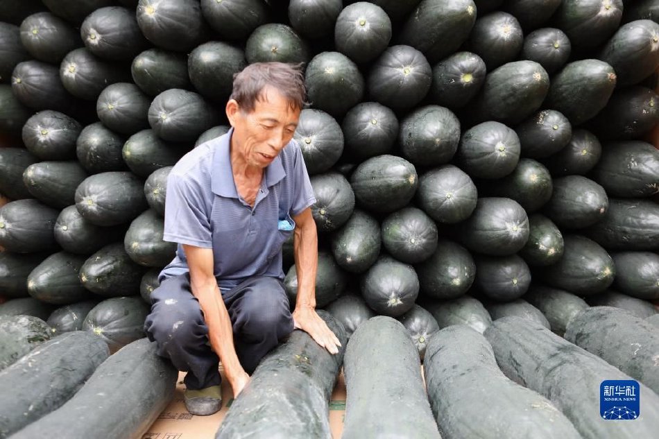 三上悠亚无码珍藏版流出