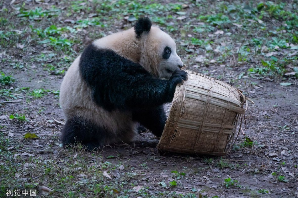 动漫小黃片秘  网站