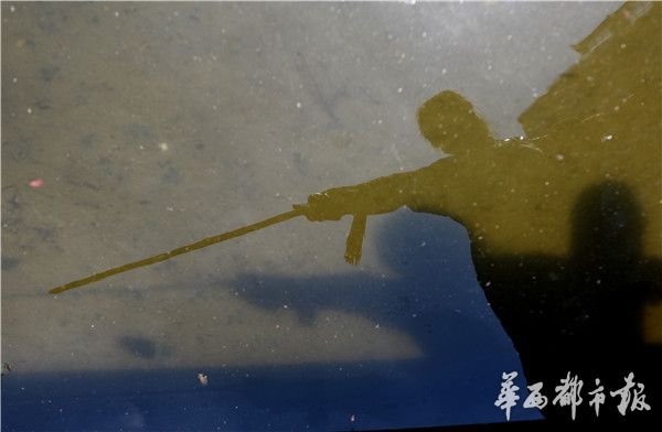 中国浓毛老太BBWW毛绒绒