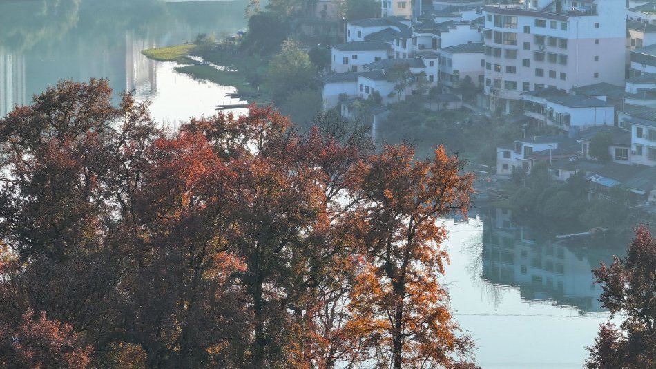 台湾梦梦