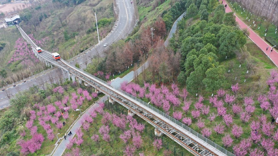 矢部壽惠
