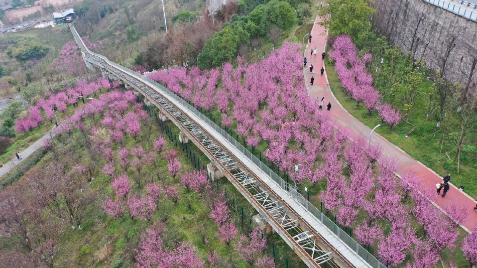中国黄色一级片