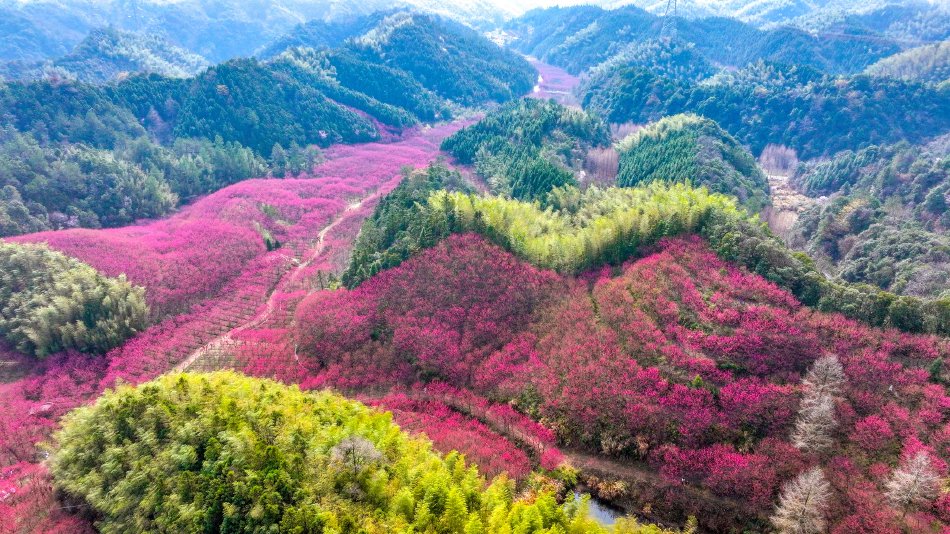 阿甘妙世界
